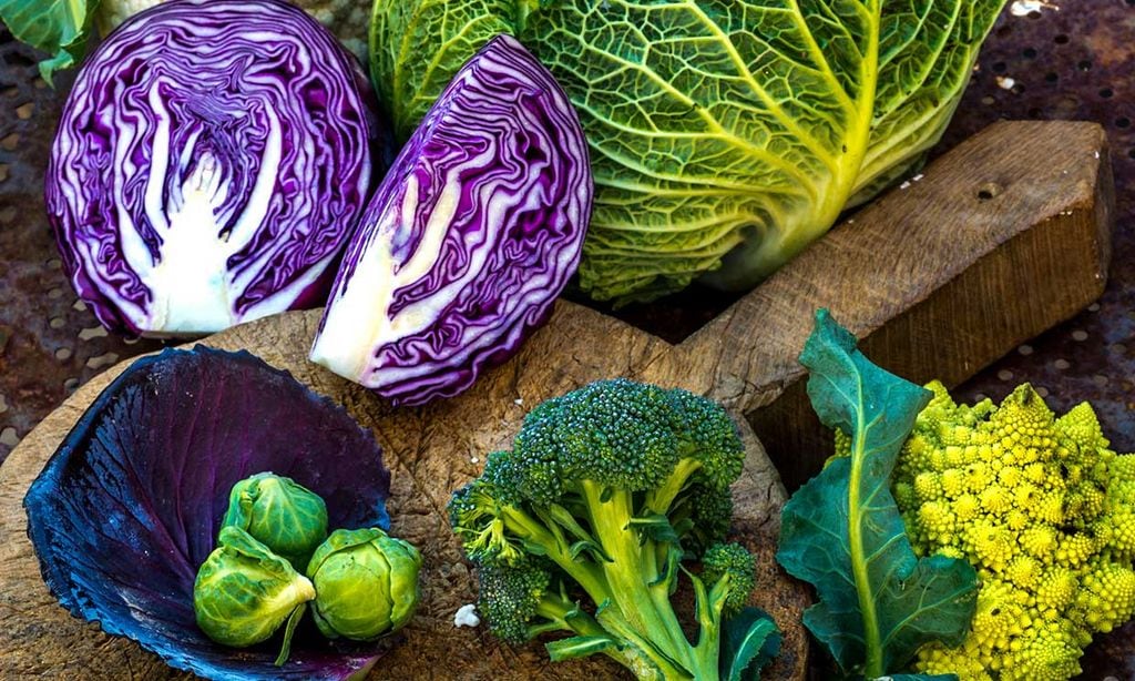 dieta para una persona con meteorismo